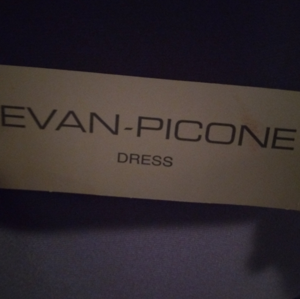 Evan Picone Women's dress - Picture 4 of 6